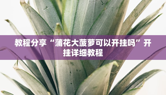 教程分享“蒲花大菠萝可以开挂吗”开挂详细教程