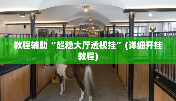 教程辅助“超稳大厅透视挂”(详细开挂教程)