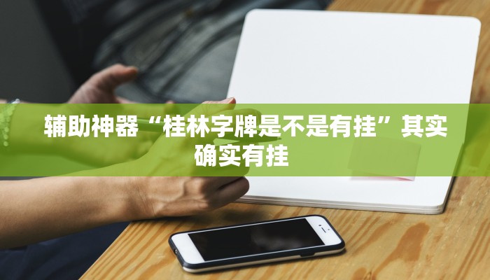 辅助神器“桂林字牌是不是有挂”其实确实有挂 