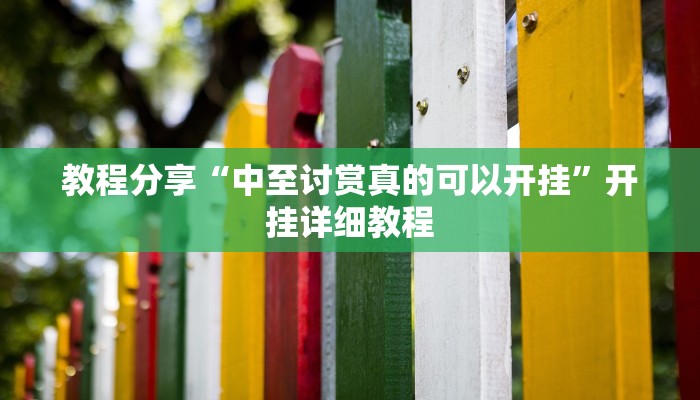 教程分享“中至讨赏真的可以开挂”开挂详细教程