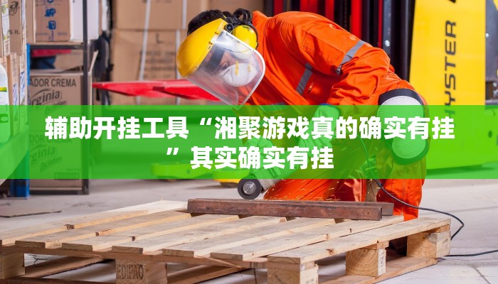 辅助开挂工具“湘聚游戏真的确实有挂”其实确实有挂