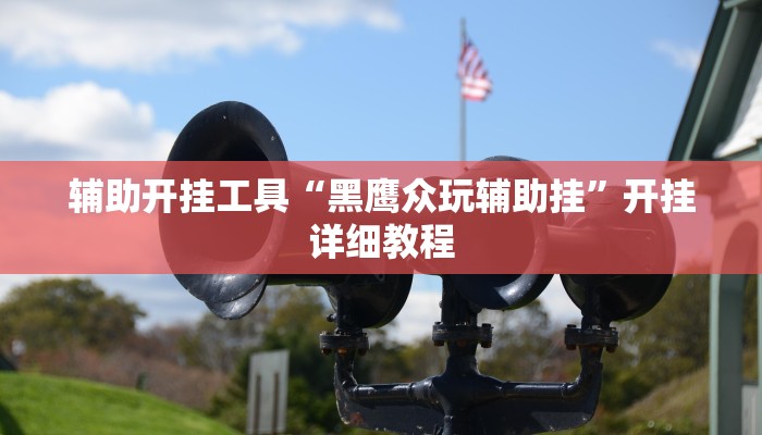 辅助开挂工具“黑鹰众玩辅助挂”开挂详细教程