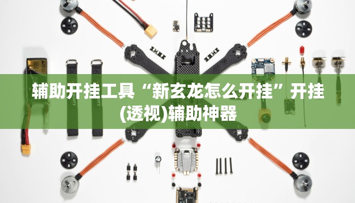辅助开挂工具“新玄龙怎么开挂”开挂(透视)辅助神器