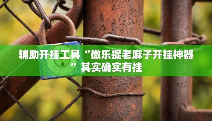 辅助开挂工具“微乐捉老麻子开挂神器”其实确实有挂