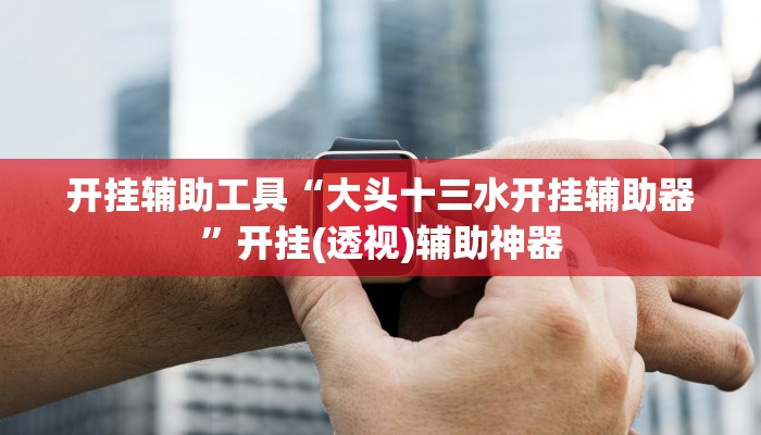 开挂辅助工具“大头十三水开挂辅助器”开挂(透视)辅助神器