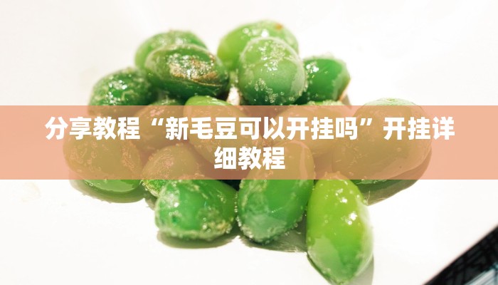 分享教程“新毛豆可以开挂吗”开挂详细教程