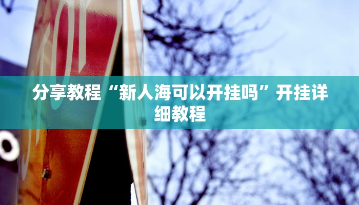 分享教程“新人海可以开挂吗”开挂详细教程