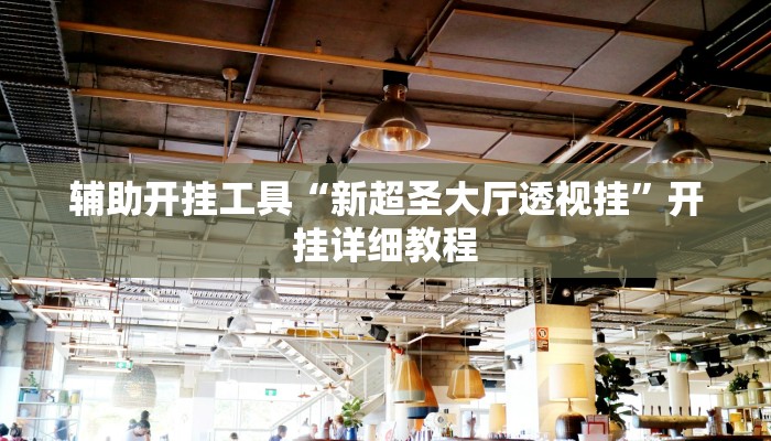 辅助开挂工具“新超圣大厅透视挂”开挂详细教程