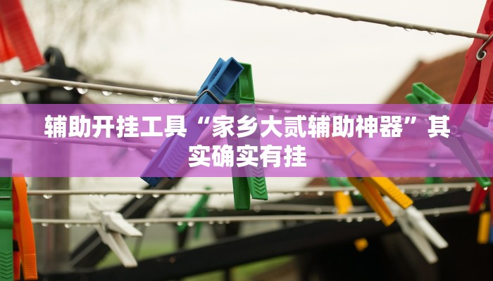 辅助开挂工具“家乡大贰辅助神器”其实确实有挂