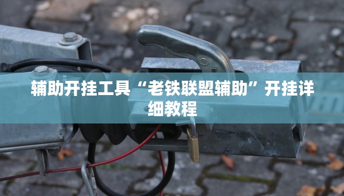 辅助开挂工具“老铁联盟辅助”开挂详细教程