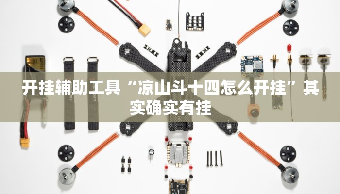 开挂辅助工具“凉山斗十四怎么开挂”其实确实有挂